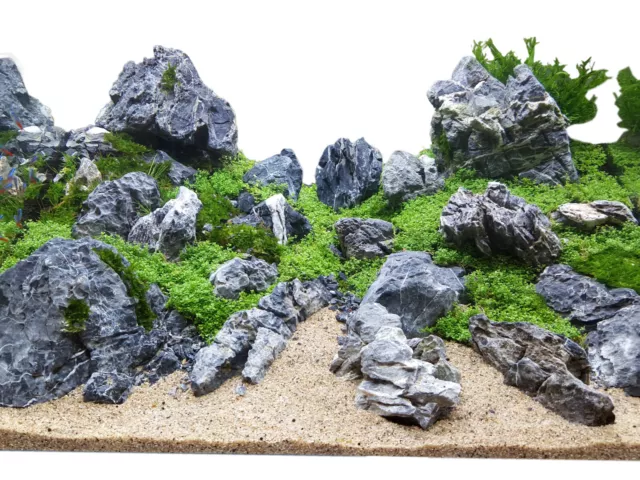 25 Lbs Aquascaping Seiryu Stone rock aquarium tropical fish plant shrimp 2.60/Lb