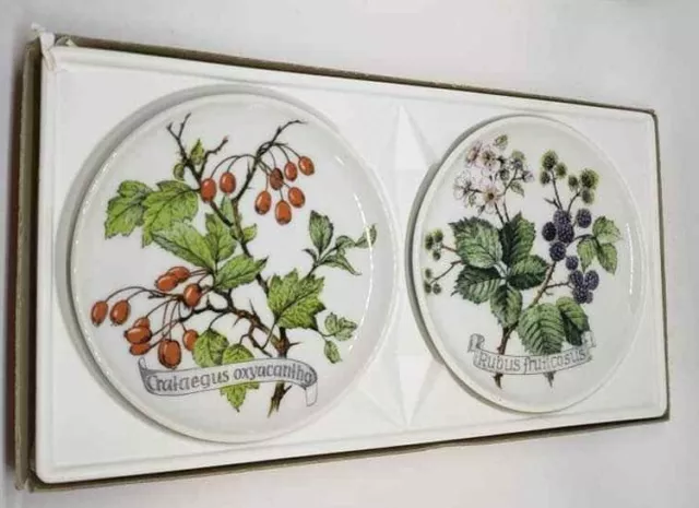 AK Kaiser Porzellan Decorative Pair of Plates 4" Botanical Hawthorn Blackberry 2