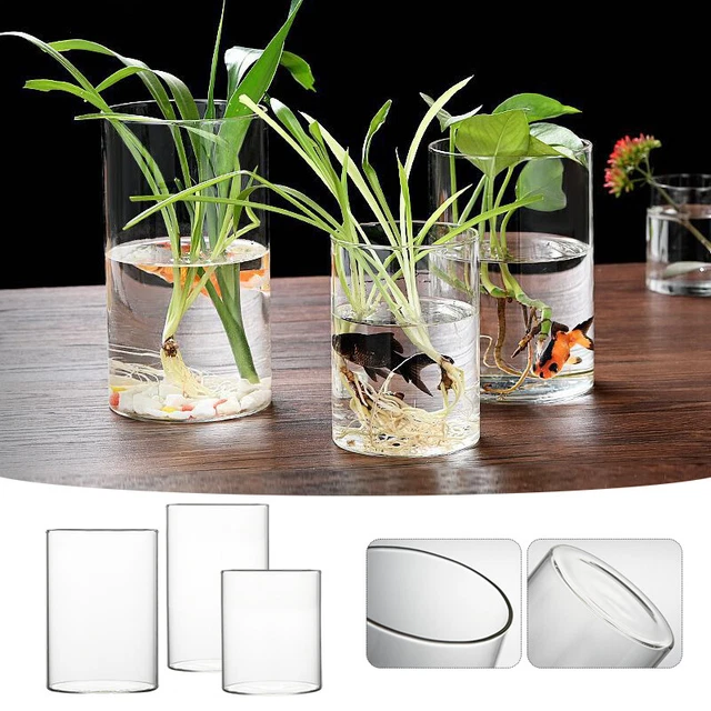 Mini Fish Tank Glass Aquarium Bottle Hydroponic Landscape Vessel Vase Decor