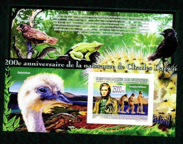 Guinea 2009 Darwin #3 Birds Frogs Evolution Nature Imperf S12122-2