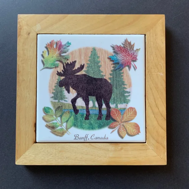 Framed Decorative Tile / Ceramic Coaster - Moose - Banff Canada