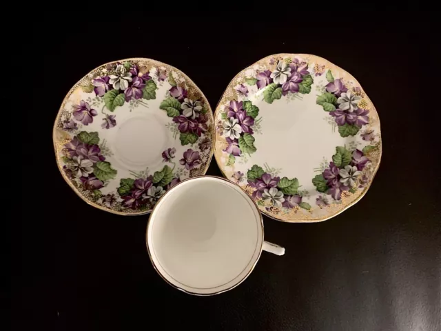 Salisbury Devonshire Violets Tea Cup Saucer Plate Trio, Made In England, VGC 3