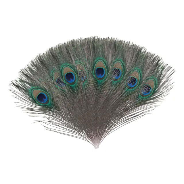 10/50/100Pcs Natural Peacock Tail Eyes Feathers Wedding Home Room Decor  25-30cm