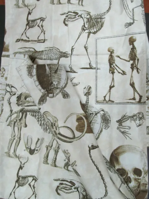 WILLIAMS SONOMA SKELLIE Skeletons Toile Goth tea kitchen towels
