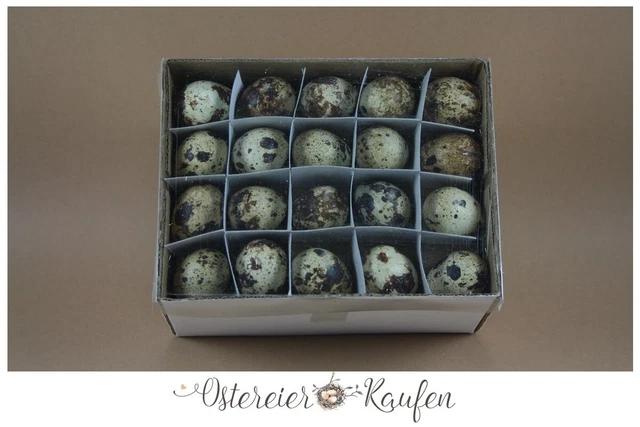 60 huevos de codorniz vacíos soplados naturaleza decoración huevos de Pascua
