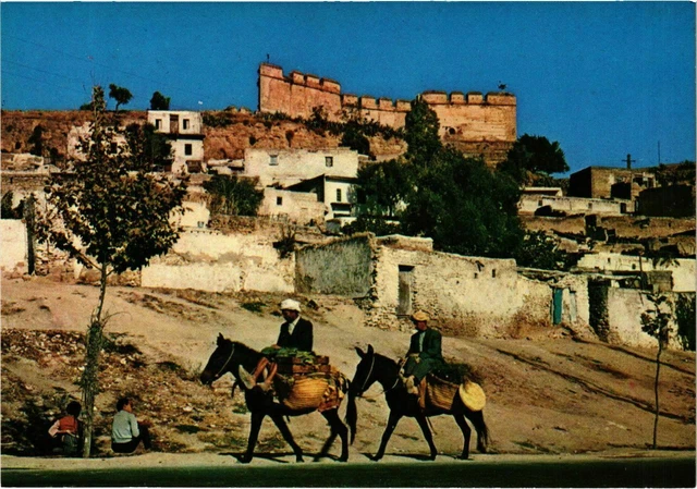 CPM AK Fez- Les Meridines MAROC (880407)
