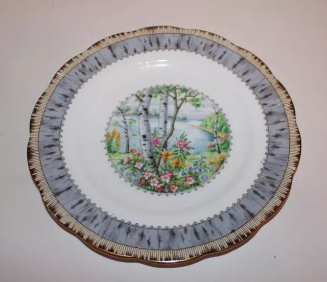 Royal Albert - Silver Birch - Salad Plate (several available)