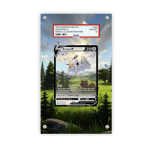 Carte Pokémon Arceus V SWSH204 204 Promo Epée & Bouclier Française Carte Pokémon Arceus V SWSH204 204 Promo Epée & Bouclier Française