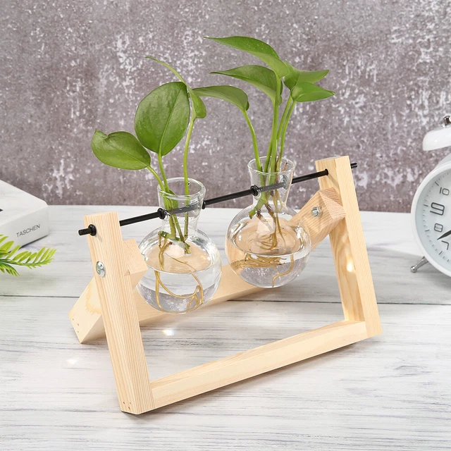 STRUTTURA IN LEGNO vetro pianta idroponica vaso da fiori ufficio