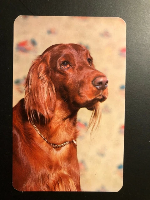 Old Vintage " IRISH SETTER " Postcard  Made in USA