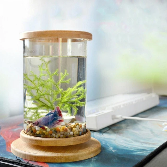 Small Fish Tank Decor Fish Bowl Accessories Betta Glass Base Aquarium S0E1 G2J5