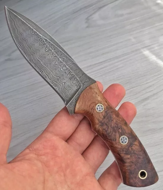 Hunting Knife Pocket Knife Damascus Steel Blade CHESTNUT WOOD Handle