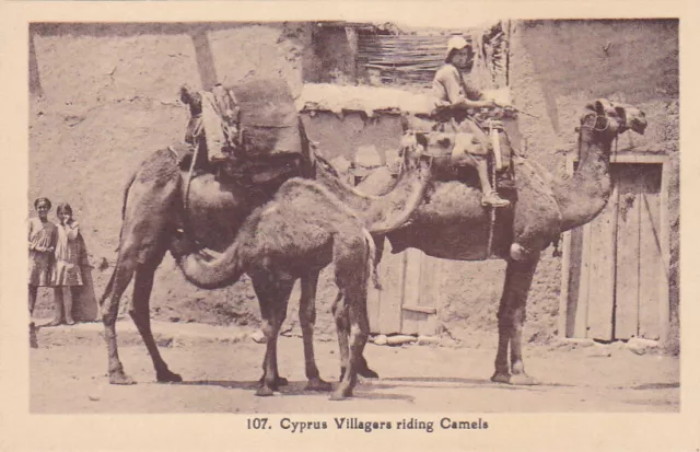 Cyprus Postcard Villagers Riding Camels By Avedissian Rare Animated