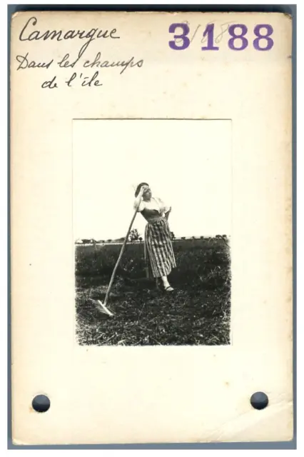 France, Camargue, Femme dans les champs de l&#039;Ile  Vintage silver print. Pro
