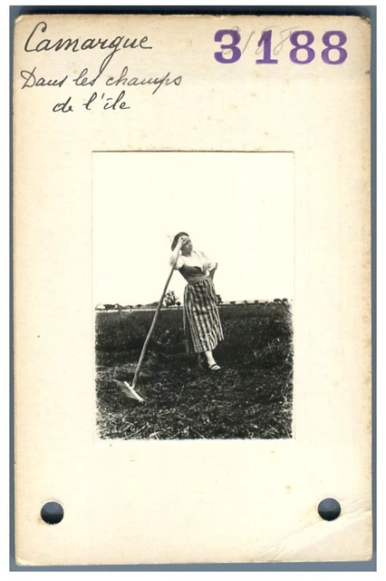 France, Camargue, Femme dans les champs de l&#039;Ile  Vintage silver print. Pro