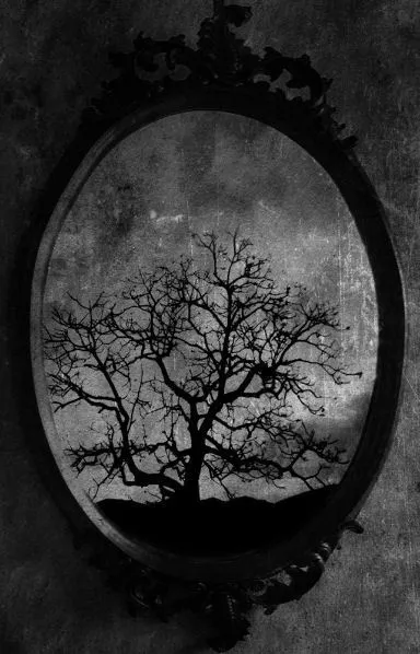 Stampa con Cornice - Dead Albero IN Un Gotico Specchio (Foto Poster Horror Morte