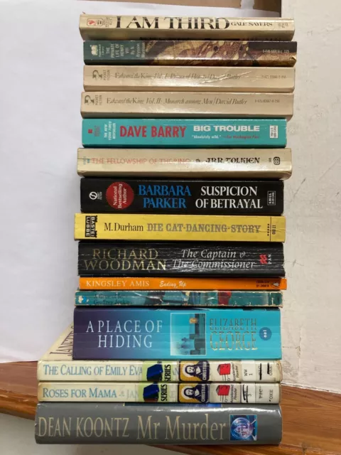 Bücherpaket Sammlung books in English novels biographies - 15 books