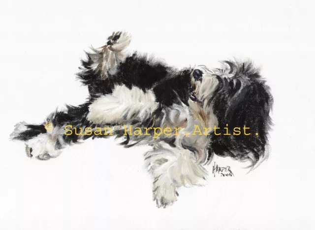 Bearded Collie Signed Dog Print by Susan Harper Unmounted