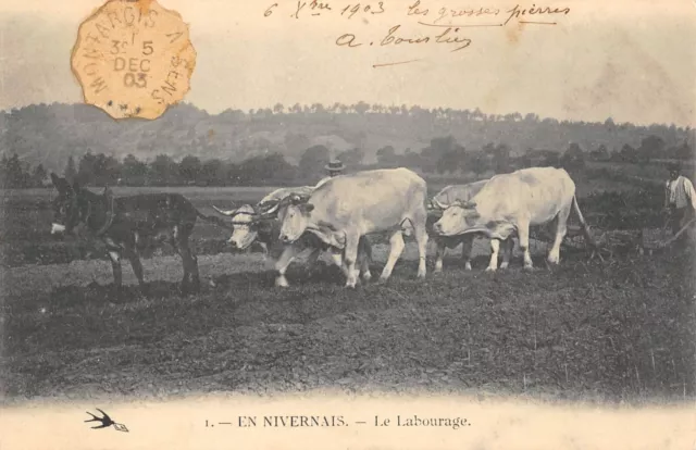 Cpa 58 En Nivernais Le Labourage / Agriculture
