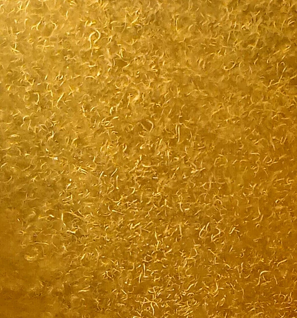 Vinegar Eels Starter Culture Betta Fry Fish Food