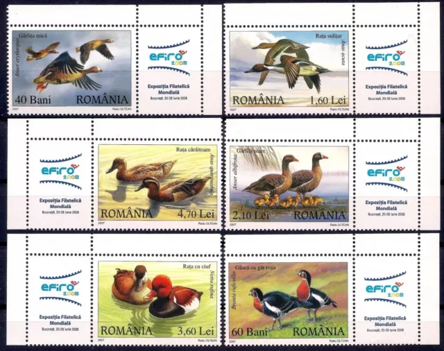 Romania 2007 Ducks Goose Birds Nature Wildlife 6v set + lbs MNH