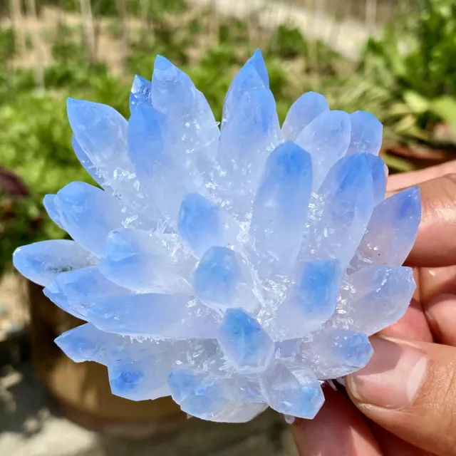 361G New Find sky blue Phantom Quartz Crystal Cluster Mineral Specimen Healing