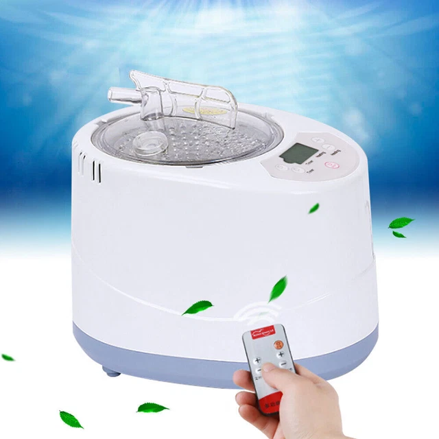 Generador de vapor 3L 9 velocidades Sauna Bath vapor portátil spa generador de vapor 220V 1000W
