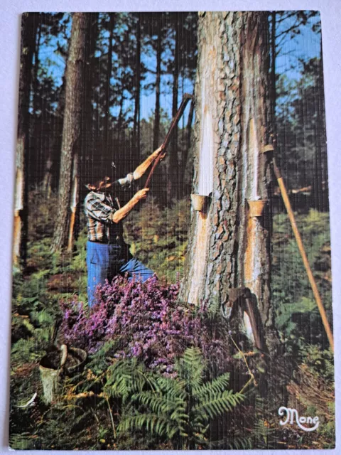 CPM  métier ancien le RESINIER Foret  d'Aquitaine