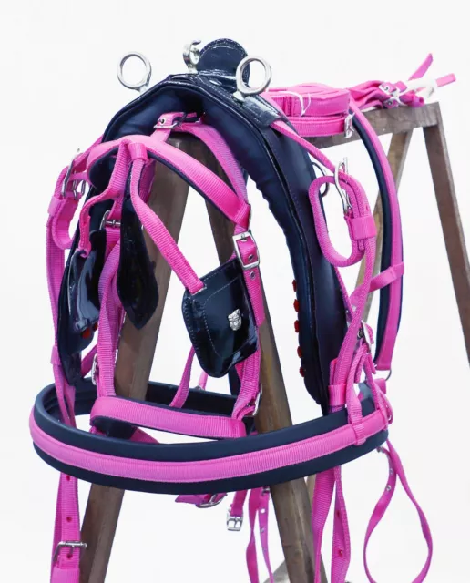 New Nylon Webbing Driving Harness Two Tone For Single Horse Black/Pink Colour