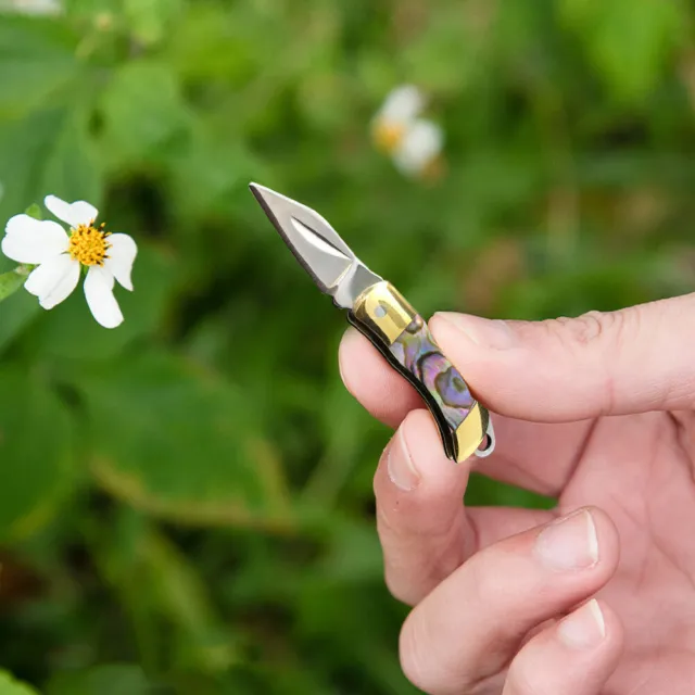 Mini Folding Pocket Knife Stainless Steel Blade Key Chain Outdoor Survival Tool*