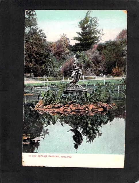 B0880 Australia SA Botanic Gardens Pond Adelaide vintage postcard