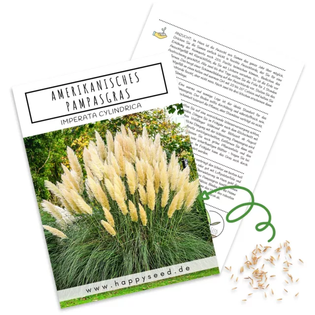 Amerikanisches Pampasgras Samen (Cortaderia selloana) - Winterhartes Ziergras