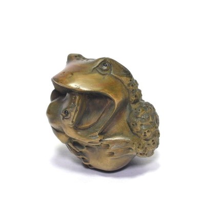 simbl froggy japan simbl froggy japan
