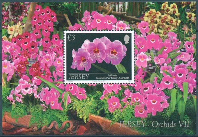 Jersey 2011 MNH Flowers Stamps Orchids Miltonia Orchid Flora Nature 1v M/S