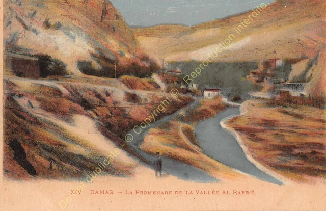 CPA Syria Damas Drive Of La Valley Al Rabwe Edit Neurdein