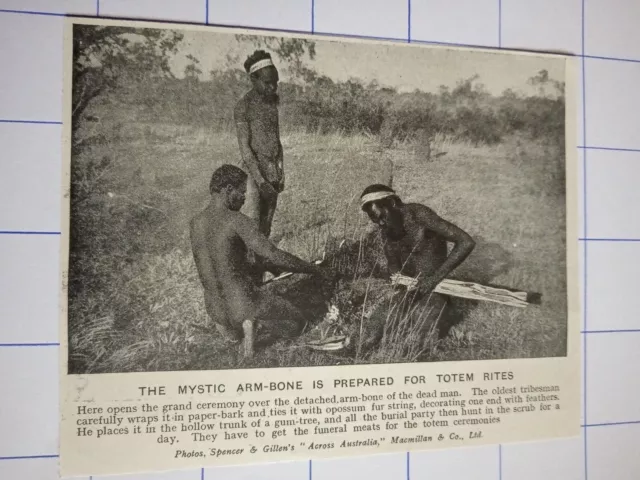 Mystic arm bone prepared for totum rights Australian aborigines C 1920