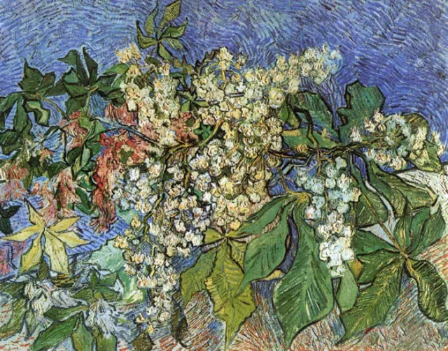Nice Oil painting Vincent Van Gogh - Blossoming Chestnut Branches flowers