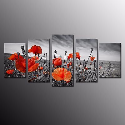 FRAMED Canvas Print Poppy Flower Painting Picture Poster Wall Art Home Decor 5pc