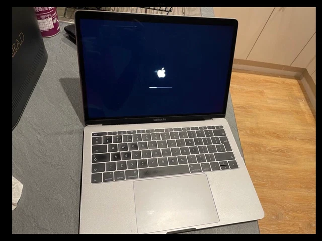 Apple MacBook Pro 13 pollici 2017 2,3 GHz Intel Core i5 128 GB di memoria + accessori