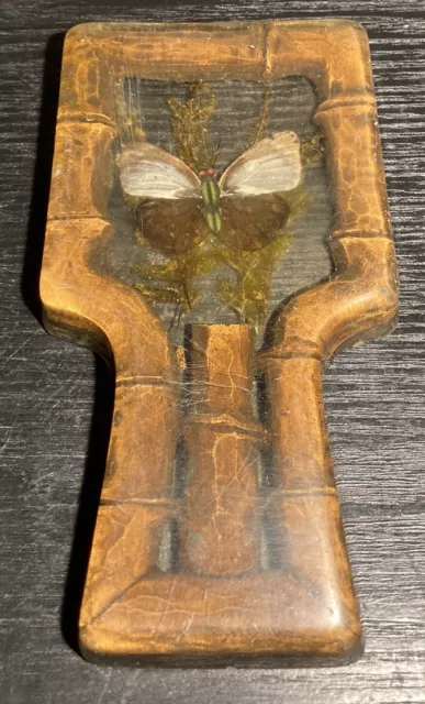 Vintage 1970'S Retro Lucite Real Butterfly Wings Spoon Rest