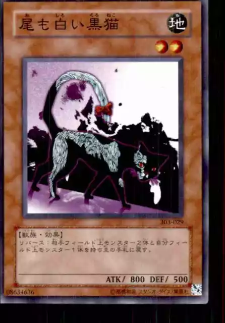 2002 Yu-Gi-Oh Champion Of Black Magic Japanese Dark Cat With White Tail C