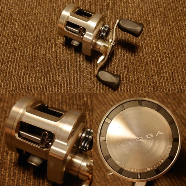 Daiwa RYOGA 2020H Baitcast Reel | eBay