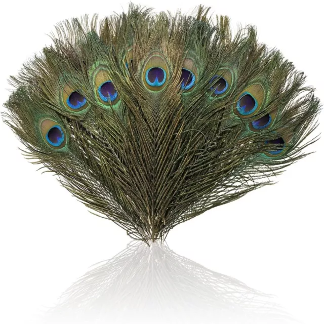 50Pcs Peacock Hair Real Peacock Feathers 25-30cm Feather Natural  Home Party