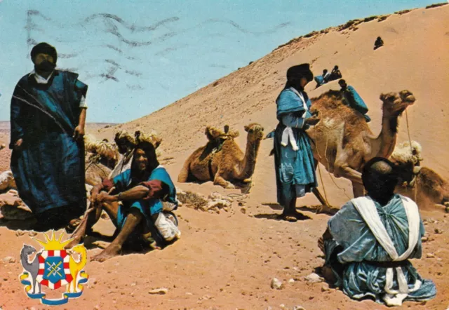 Antique MOROCCO TAN-TAN Postcard Large Moussem City Coats of Arms
