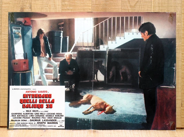 RITORNANO QUELLI DELLA CALIBRO 38 fotobusta poster Poliziesco 1977 Cane