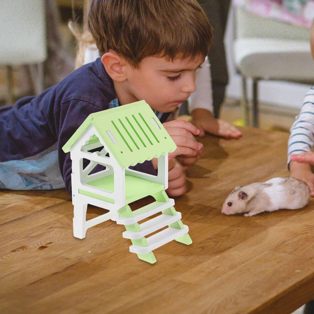Graziosi orecchini a forma di criceto, alla moda, eleganti, belli