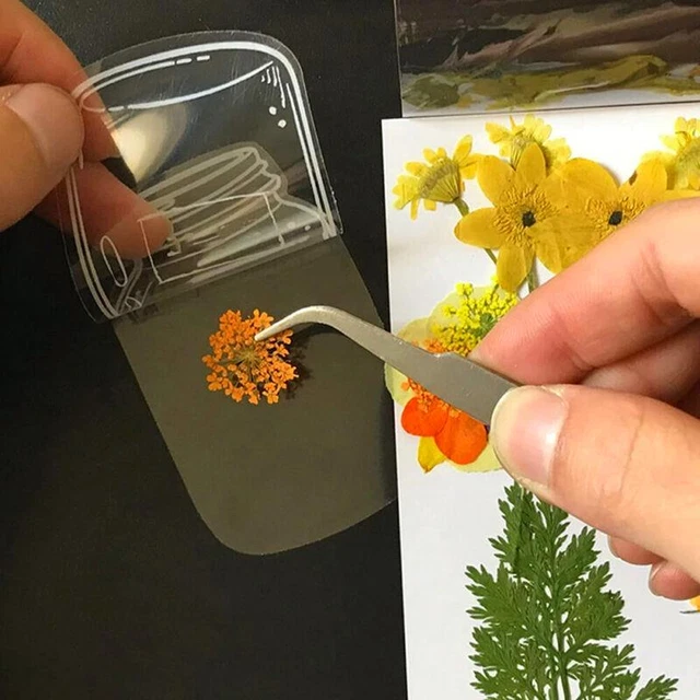 Wunderschöne selbstgemachte transparente Lesezeichen mit getrockneten Blumen