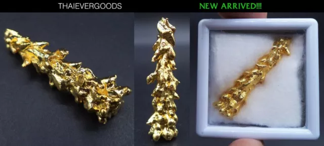 Rare Mother Tree Germinate Leklai Gold Color Lp Huan Thai Amulet Rich Power