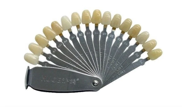 HUGE 16 Shades Acrylic Teeth Shade Guide