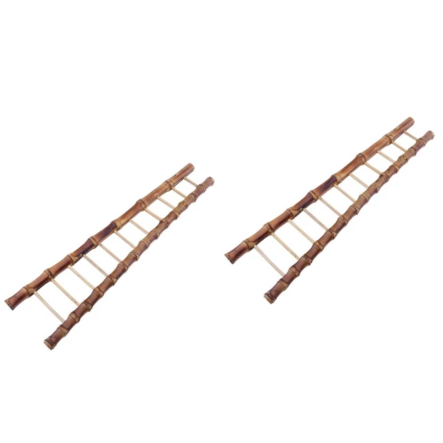 2 pz Sashimi scala bambù decorazione sfondo sushi bambino piccolo